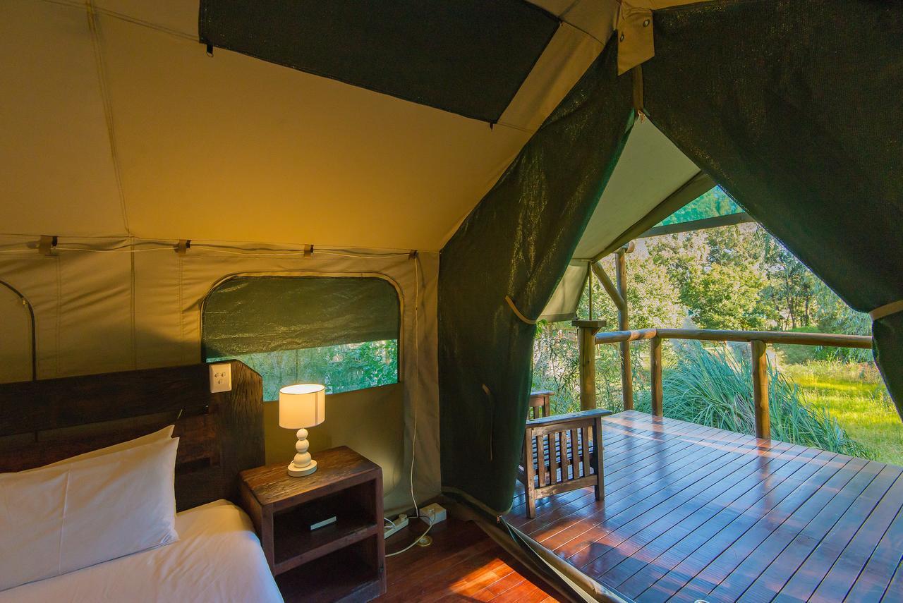 Amadwala Lodge Roodepoort Kamer foto