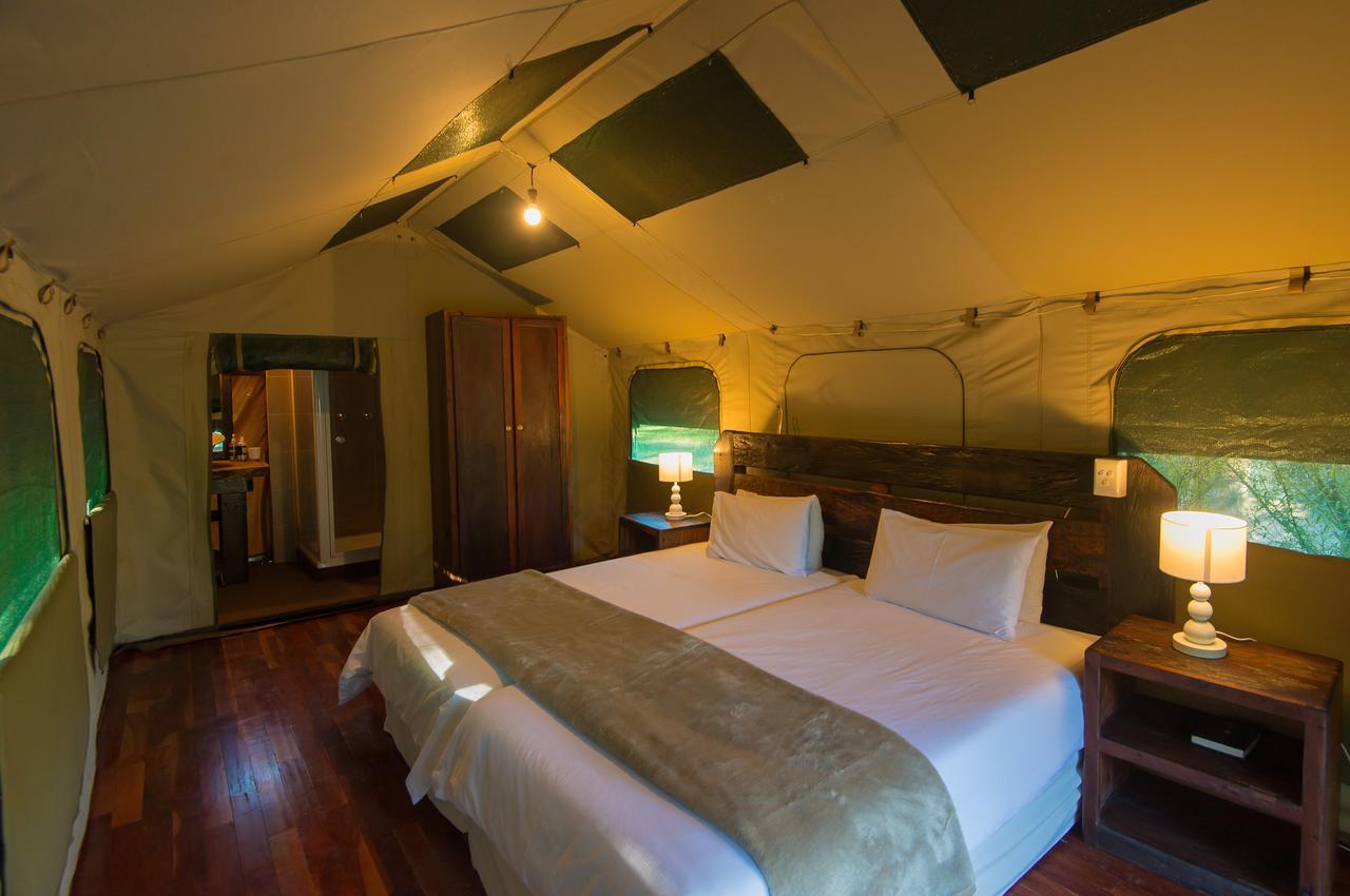 Amadwala Lodge Roodepoort Kamer foto